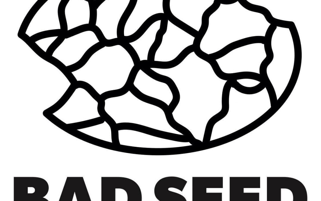 This Must Be The Haze