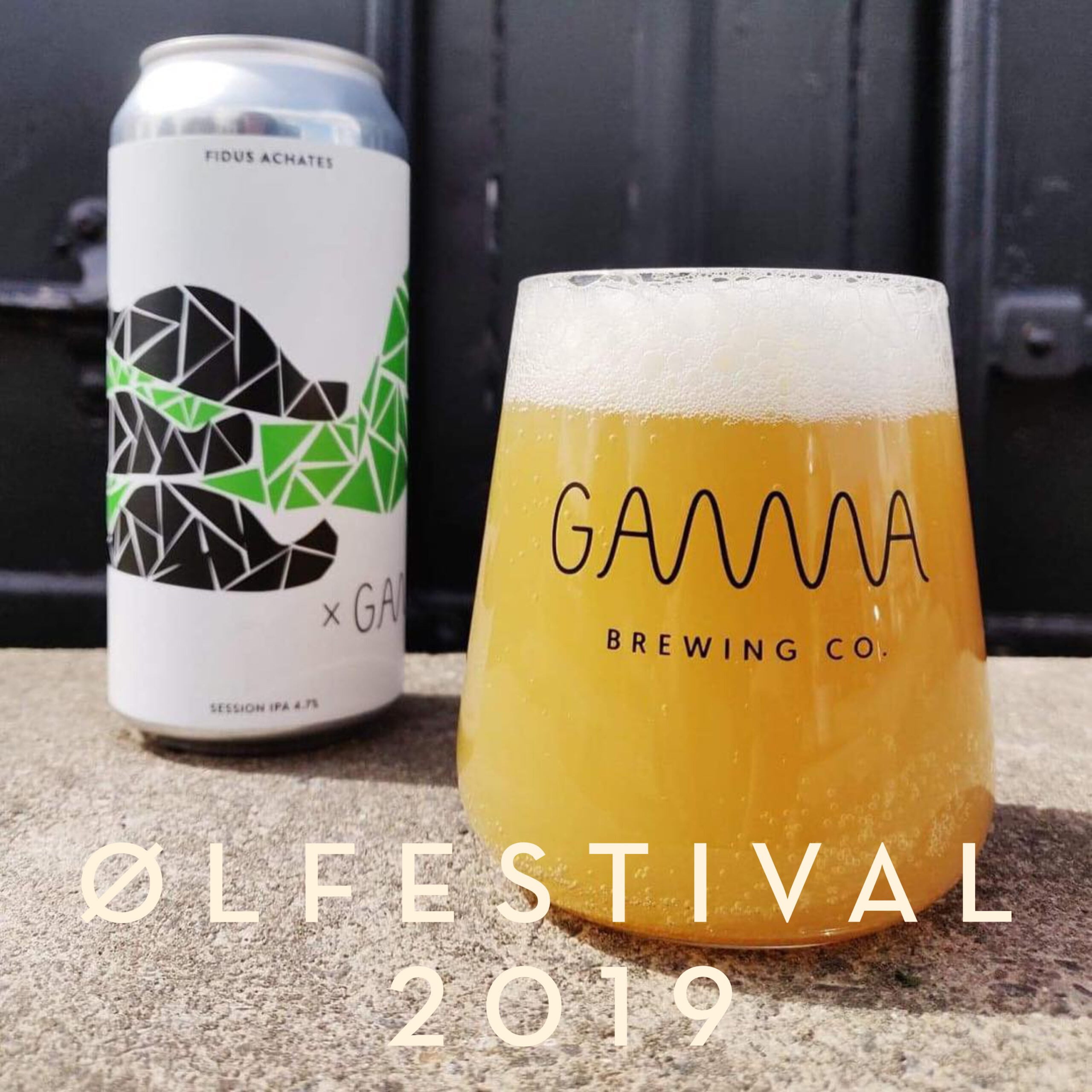 FESTIVALFOKUS: Gamma Brewing