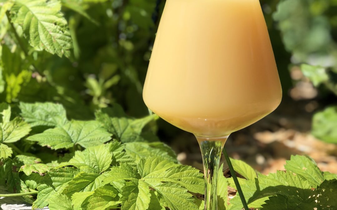 Embrace The Murk DIPA Series