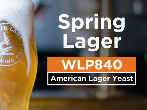 Spring Lager w/ WLP840 American Lager Yeast