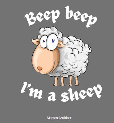 Beep beep, I’m a sheep